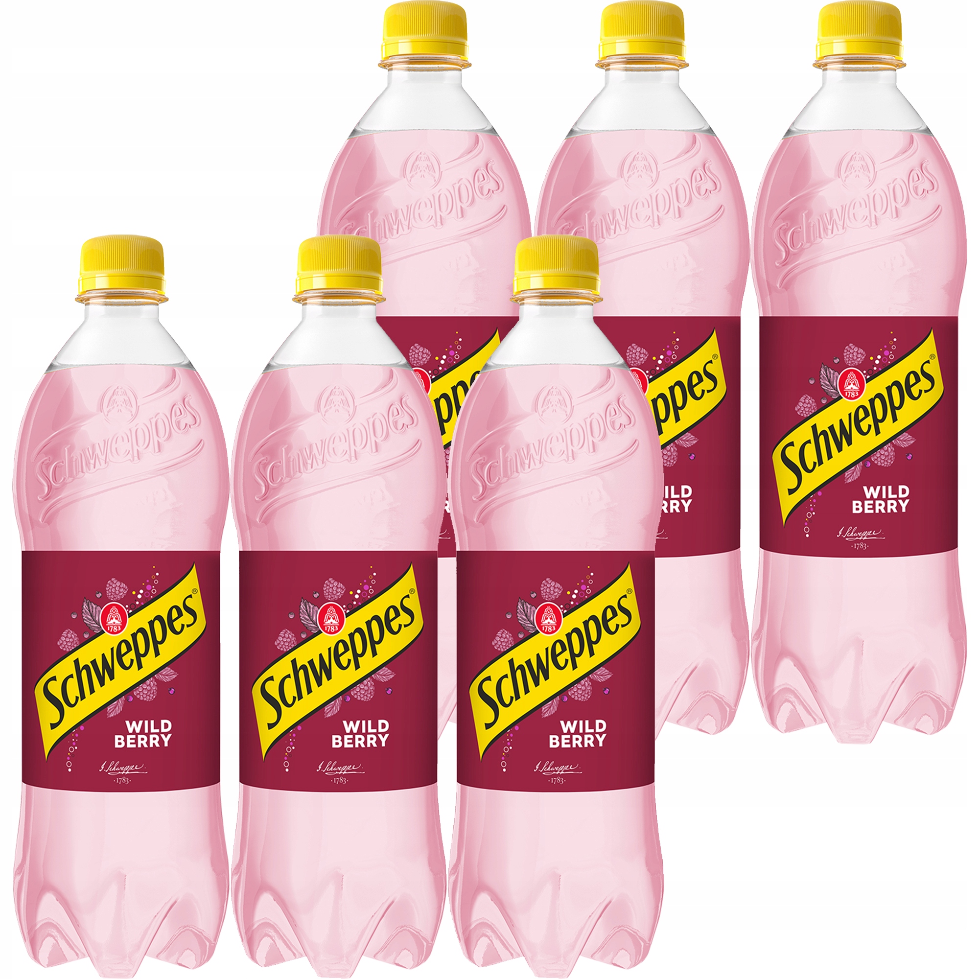 Levně Schweppes Sycený nápoj lesních plodů 1,35 lx 6 kusů