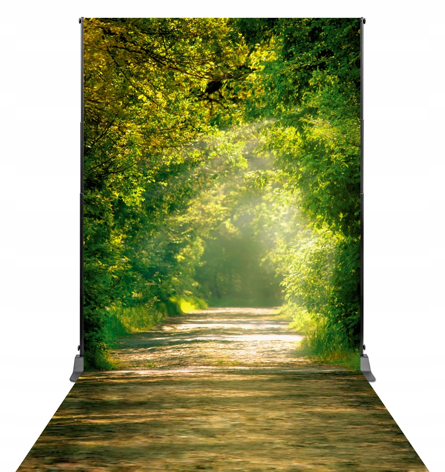 Tło fotograficzne Las Ścieżka 158 x 300 cm