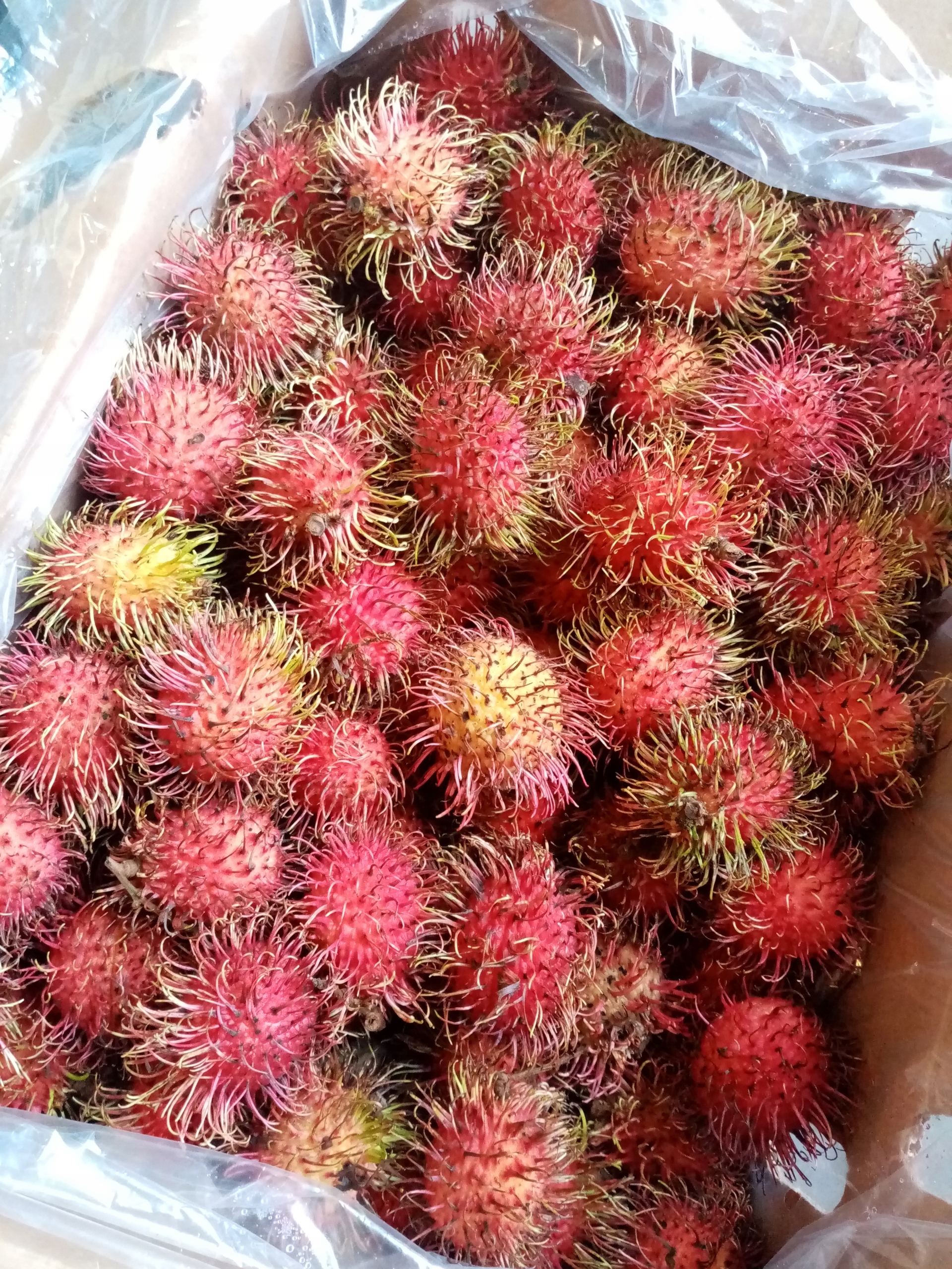 Levně Rambutan Čerstvý Lahodný (jako liči) 250 g