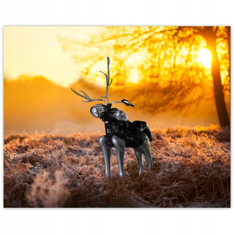 

Plakat 50x40 Chopper na rykowisku Las