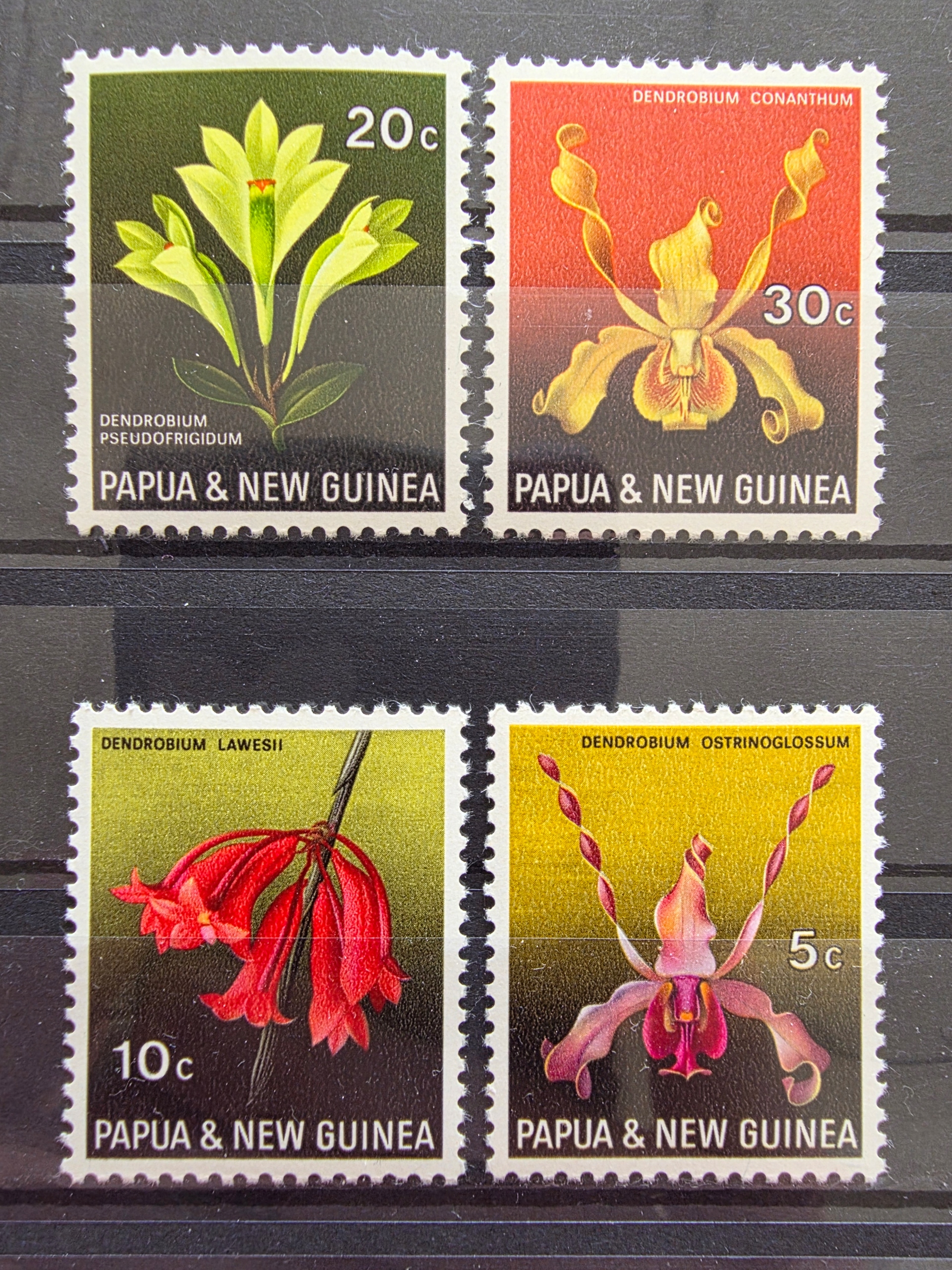 Znaczki Flora Kwiaty Papua Nowa Gwinea czysty /R6