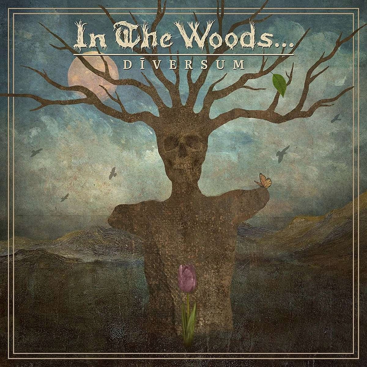 In The Woods- Diversum, CD