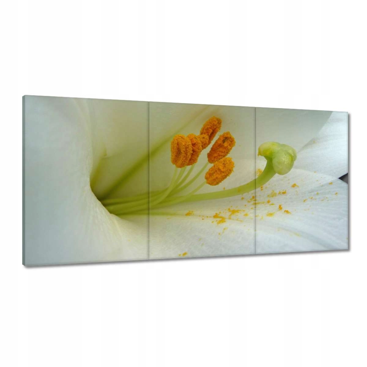 Obrazy 180x90 Deň žien Darčeková láska