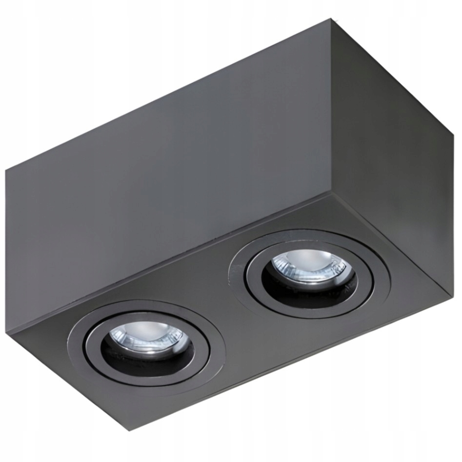 Čierna stropná lampa s reflektorom do obývačky, kuchyne, predsiene Brant 2 Square
