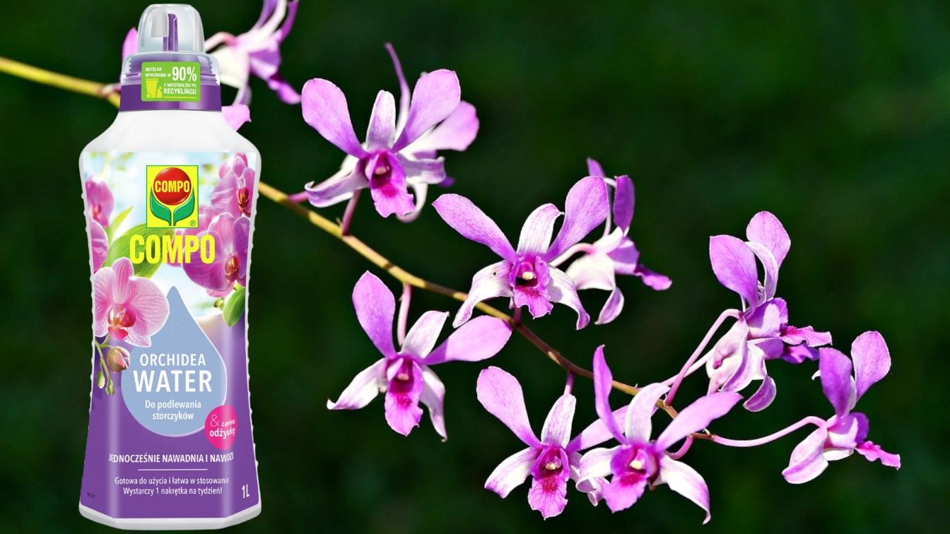 WODA DO STORCZYKÓW ODŻYWKA NAWADNIA I NAWOZI 1L Forma płyn