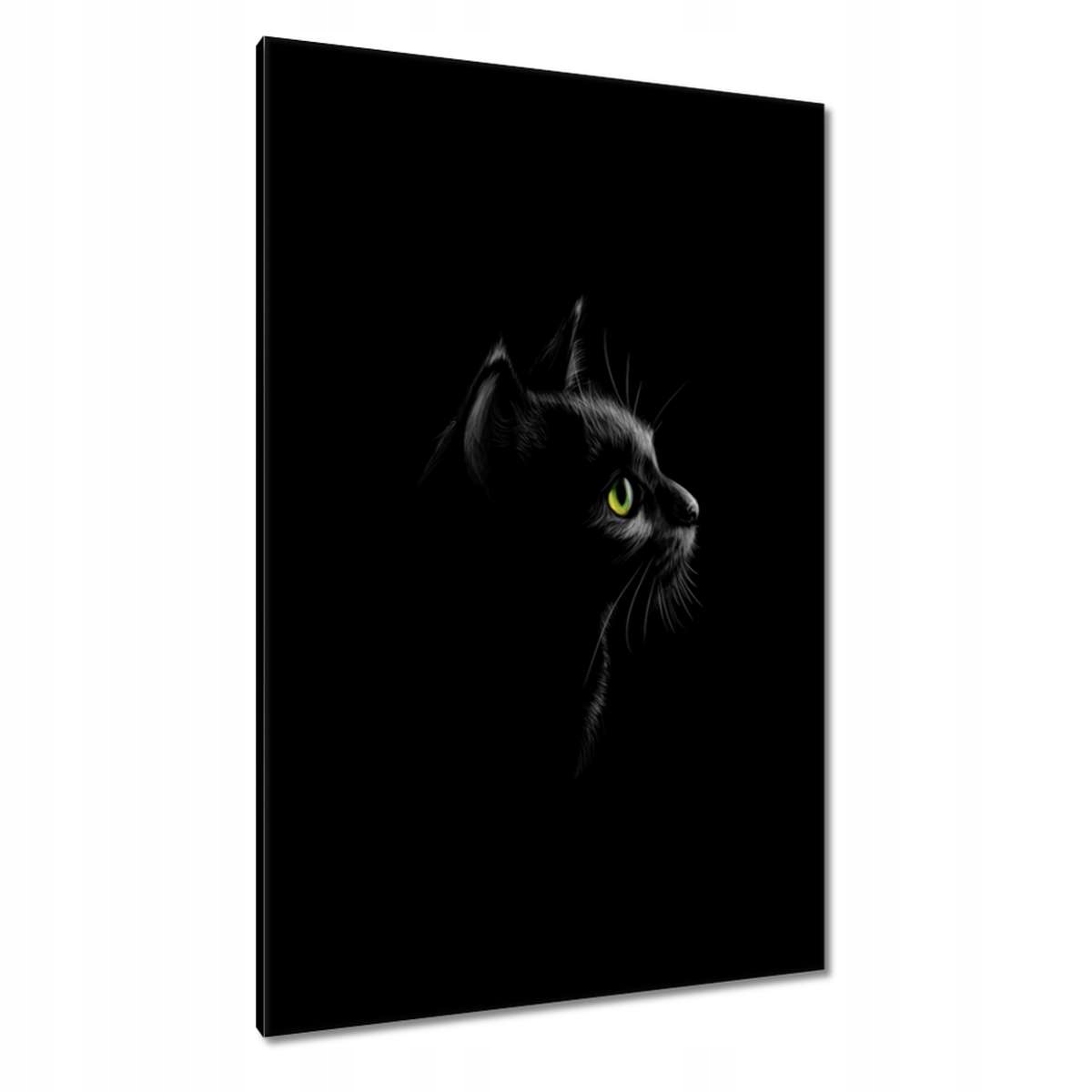 Obrazy 80x120 Černá kočička