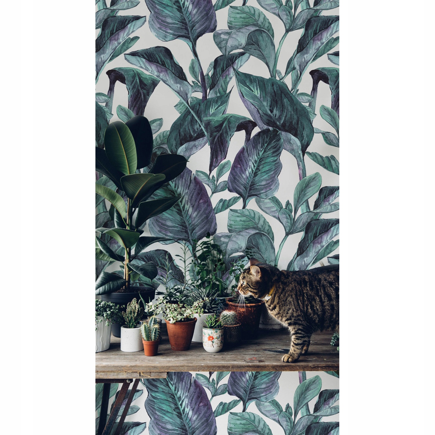 

Fototapeta na flizelinie Egzotyczne liście 104x70