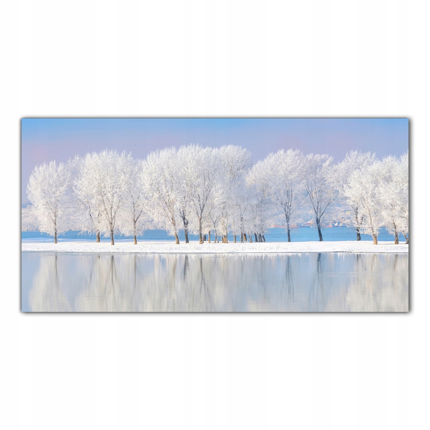 

Obraz Szklany Foto-obraz Zima Drzewa Mróz 120x60
