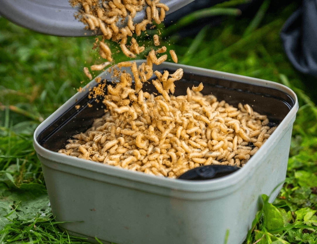 Wkładka do pudełka Sitko Guru Maggot Riddle Black Model Maggot Riddle