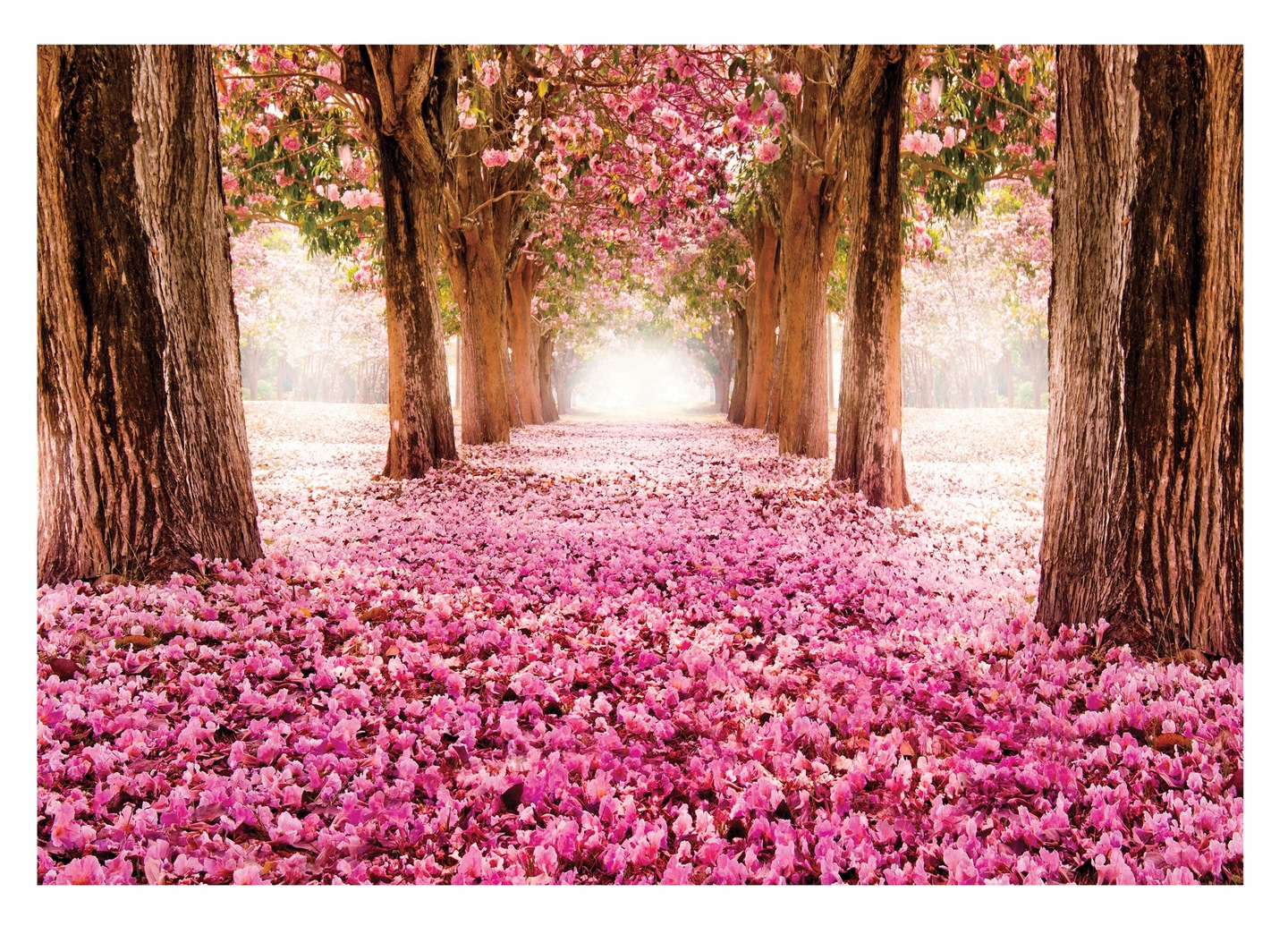 Fototapeta Aleja Stromů Alejka Zahrada Příroda 312x219