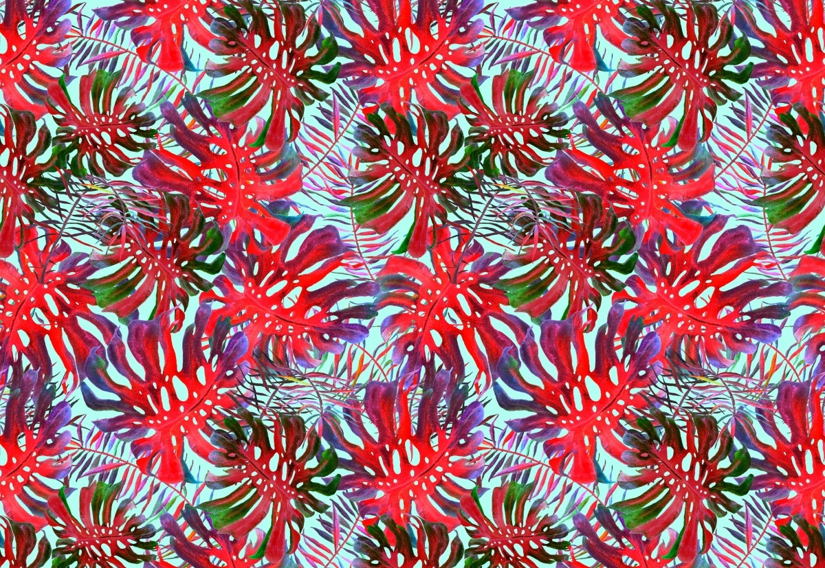 

Fototapeta Flizelinowa Monstera dziurawa 152x104