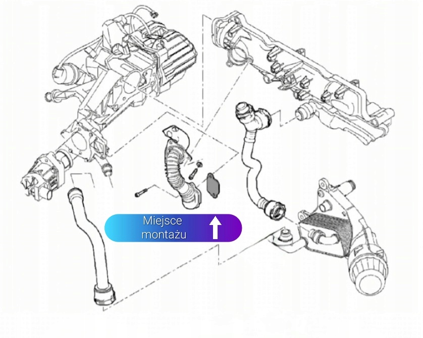 Zaślepka EGR 2.0 CDTi OPEL Astra Zafira Insignia Producent części Inny