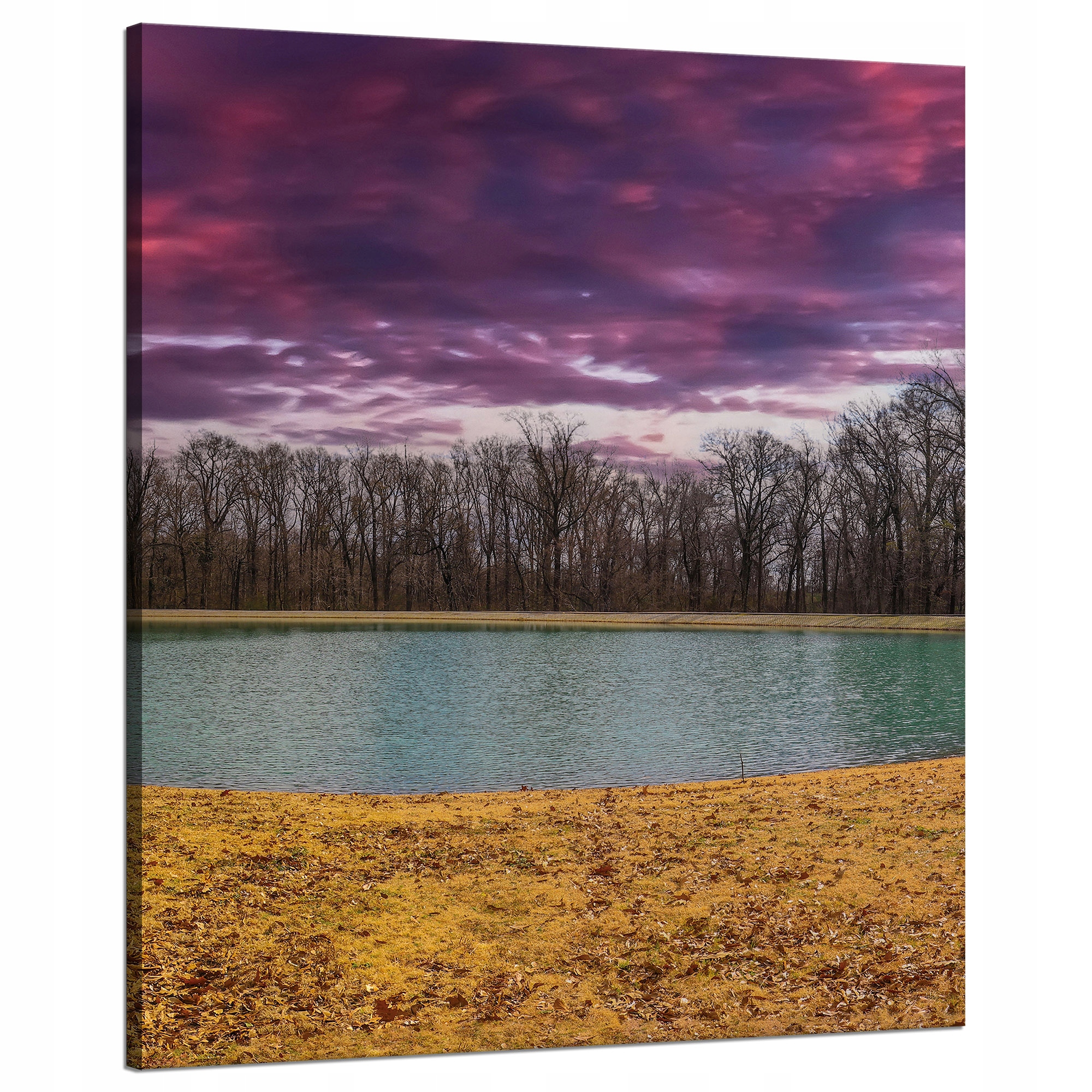 Obraz na plátně Fialové nebe Rybník Stromy Podzim 80x100 cm