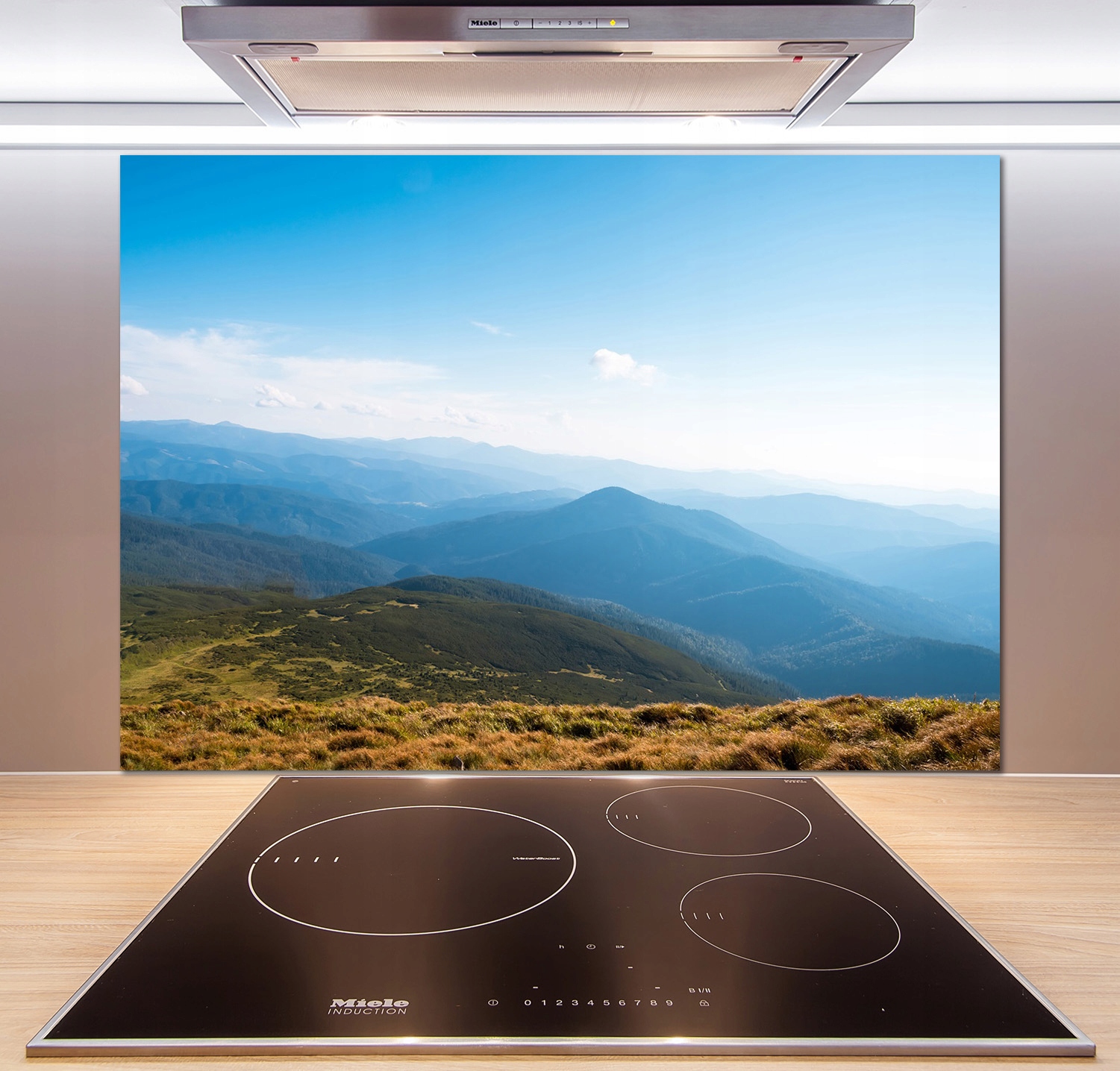 

Panel lacobel Park narodowy Tatry 100x70 cm + Klej