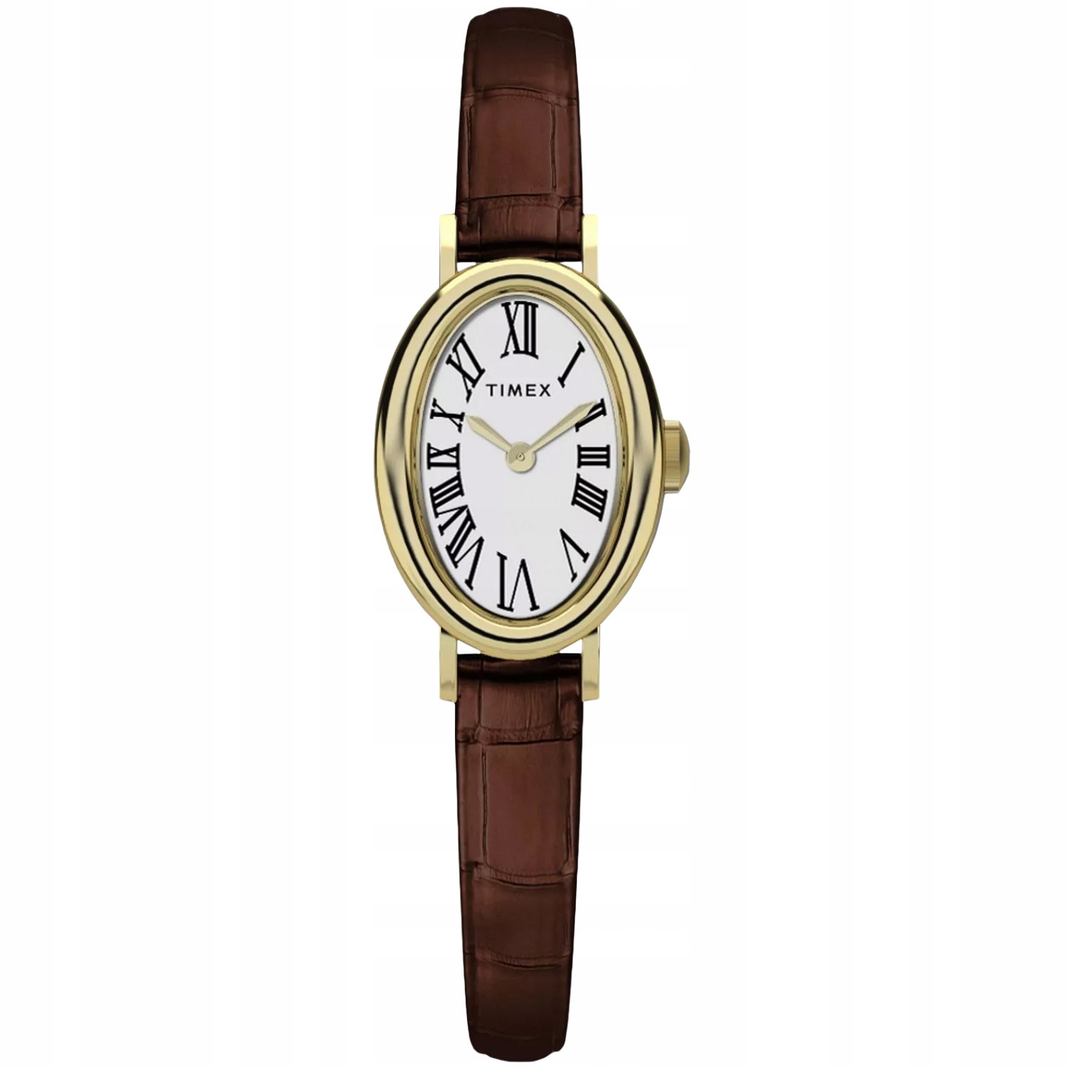 Dámské hodinky Timex TW2W78500 hnědé