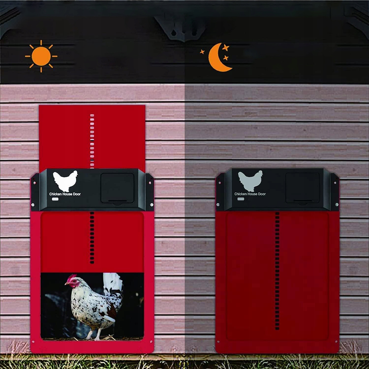 AUTOMATYCZNE DRZWI DO KURNIKA DRZWICZKI DO KURCZAKA CZUJNIK ŚWIATŁA Rodzaj kurnik