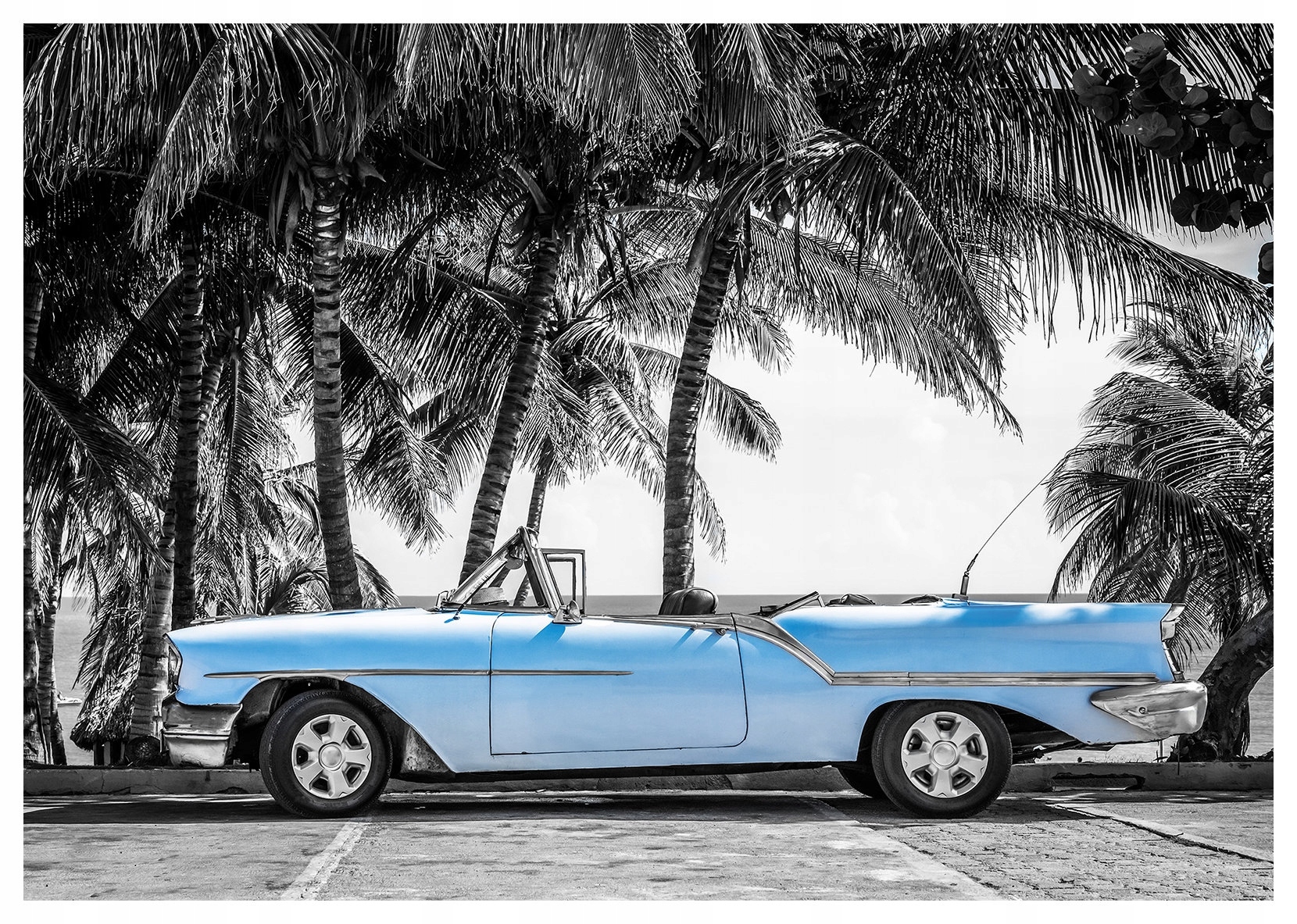 Vliesová fototapeta Retro Kabriolet Palmy světle modrá šedá 350x250 lepidlo