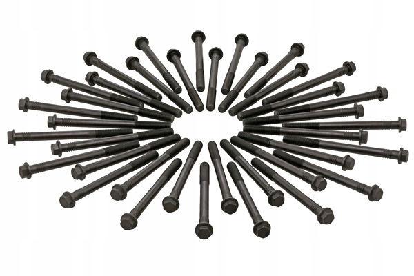 ELRING ZESTAW ŚRUB GŁOWICY CYLINDRÓW 38SZT. RVI C K KERAX MAGNUM T