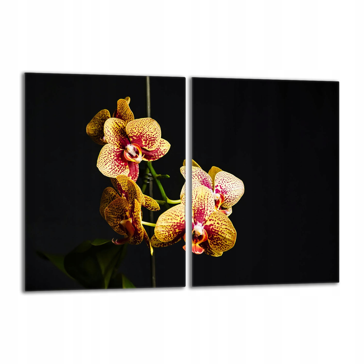 Skleněná ochranná deska na sporák 40x52 Orchidej Do Kuchyně