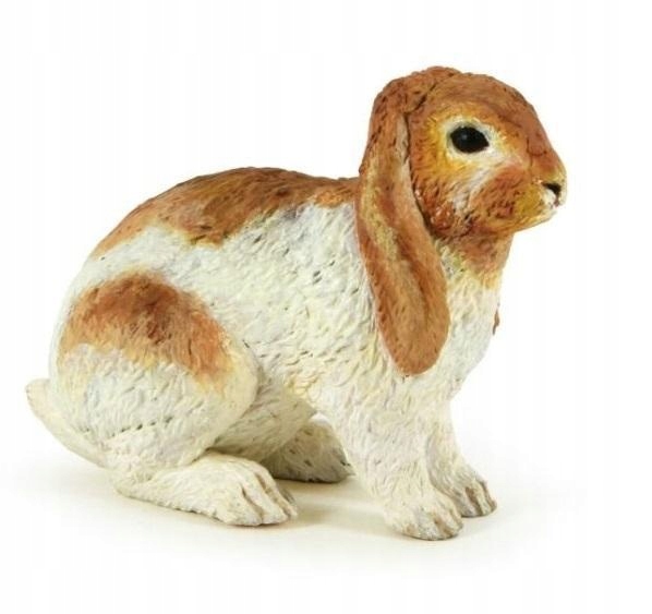 

Królik Holland Lop, Papo