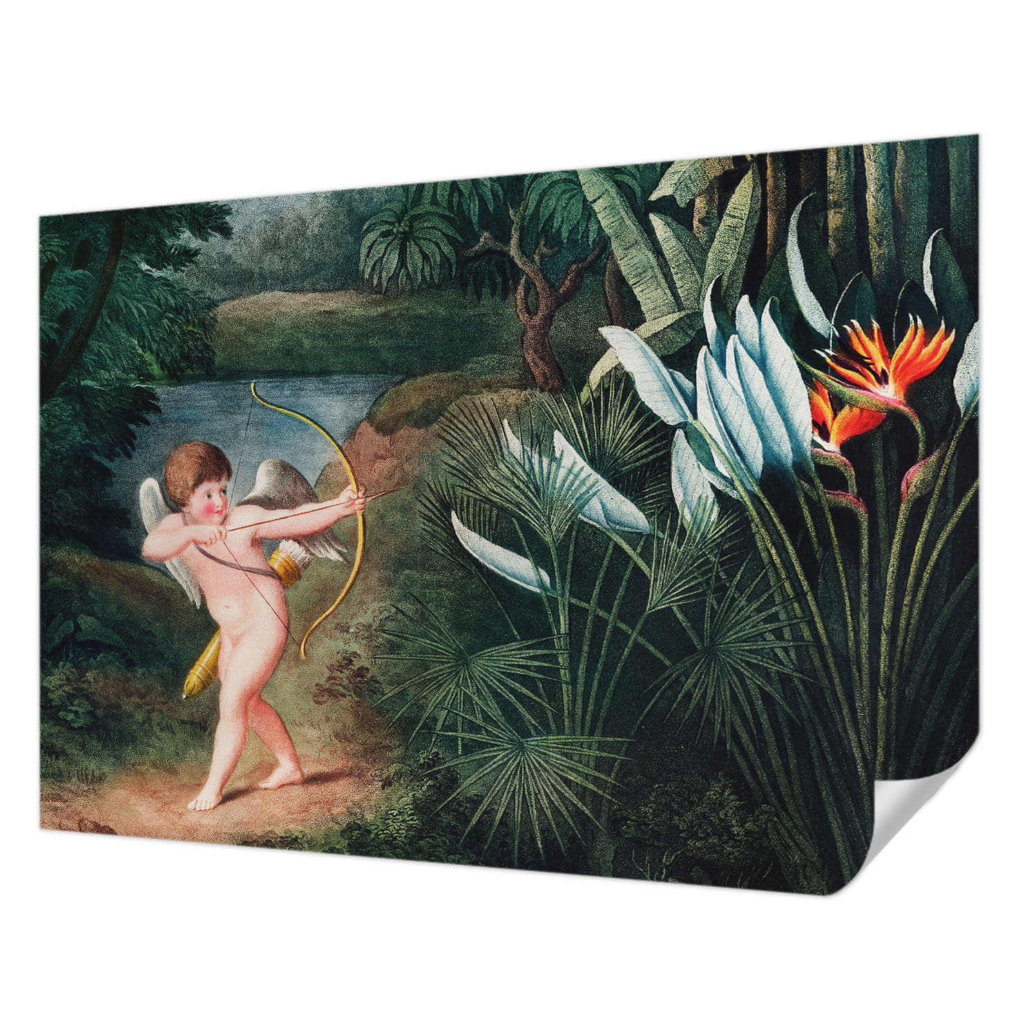 Samolepicí fototapeta Premium Snadná montáž Roztomilý Amorek 312x219 cm