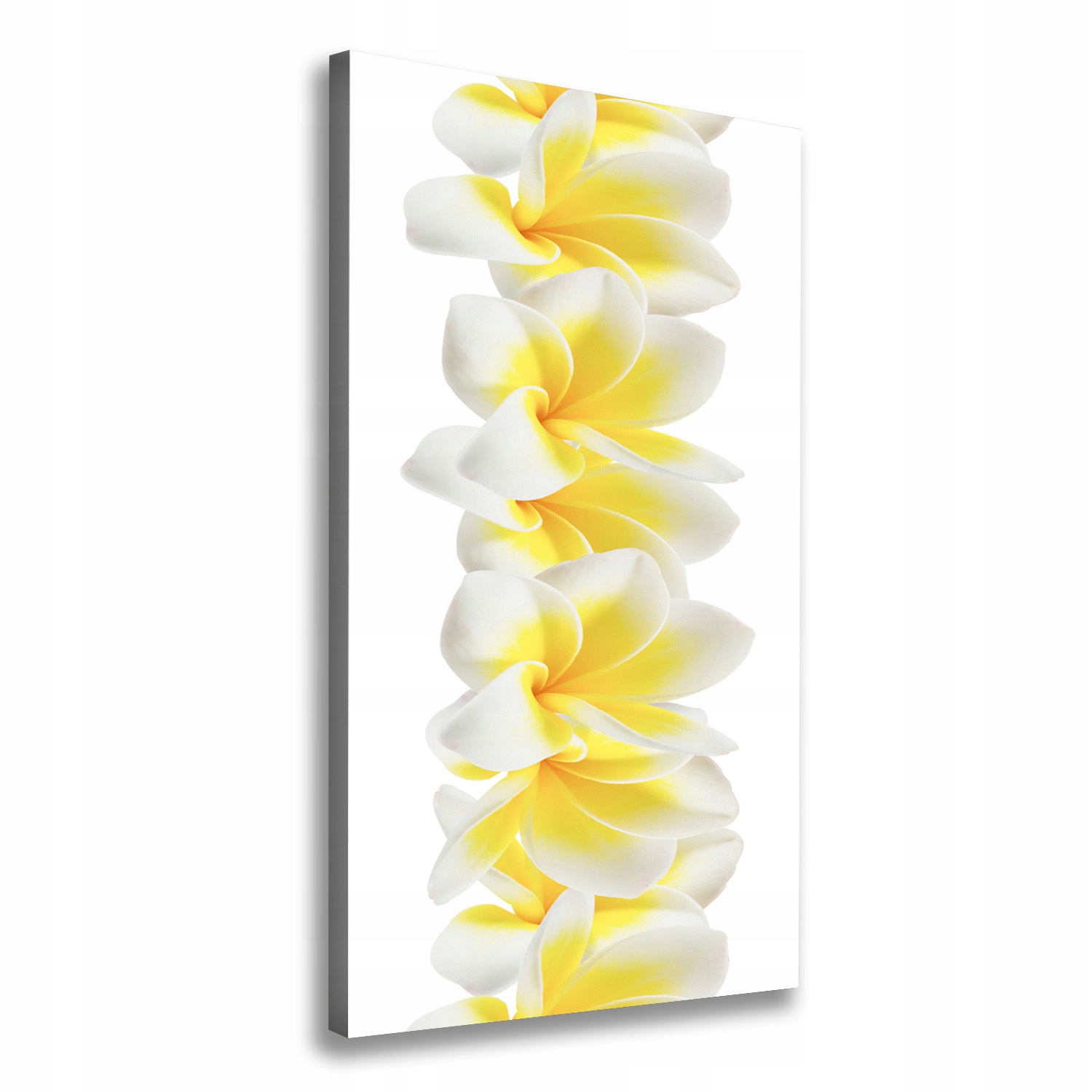 

Foto obraz na płótnie do salonu Plumeria 60x120 cm