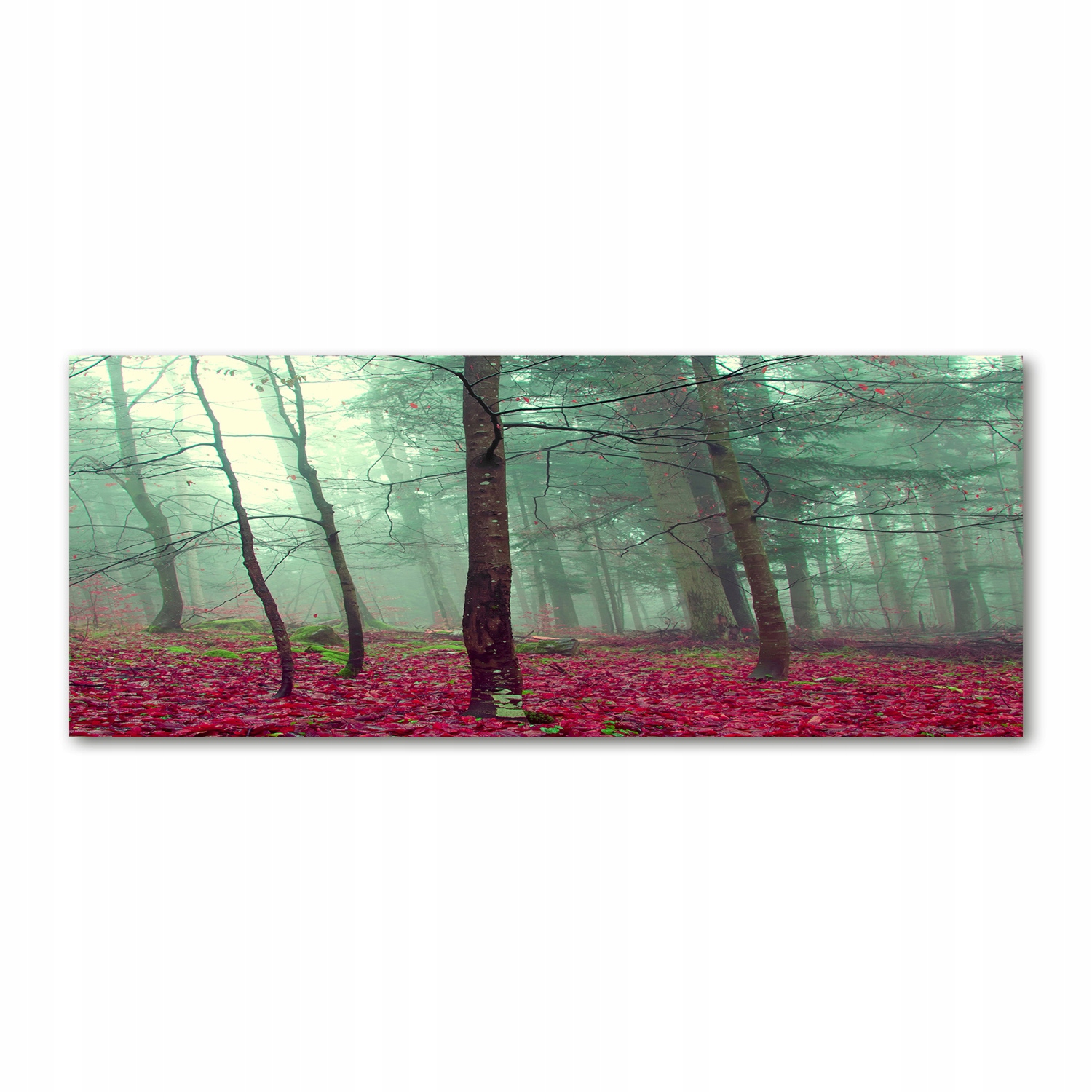 

Foto obraz akryl zdjęcie Jesienne liście 125x50 cm