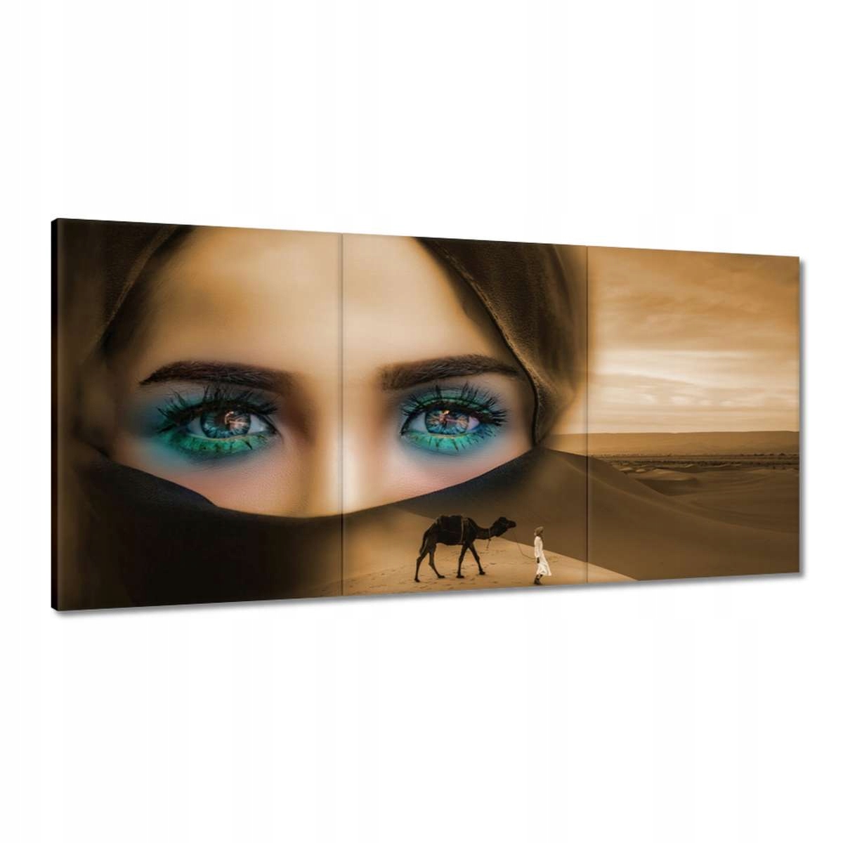 Obrazy 180x90 Púštna kráľovná ťava