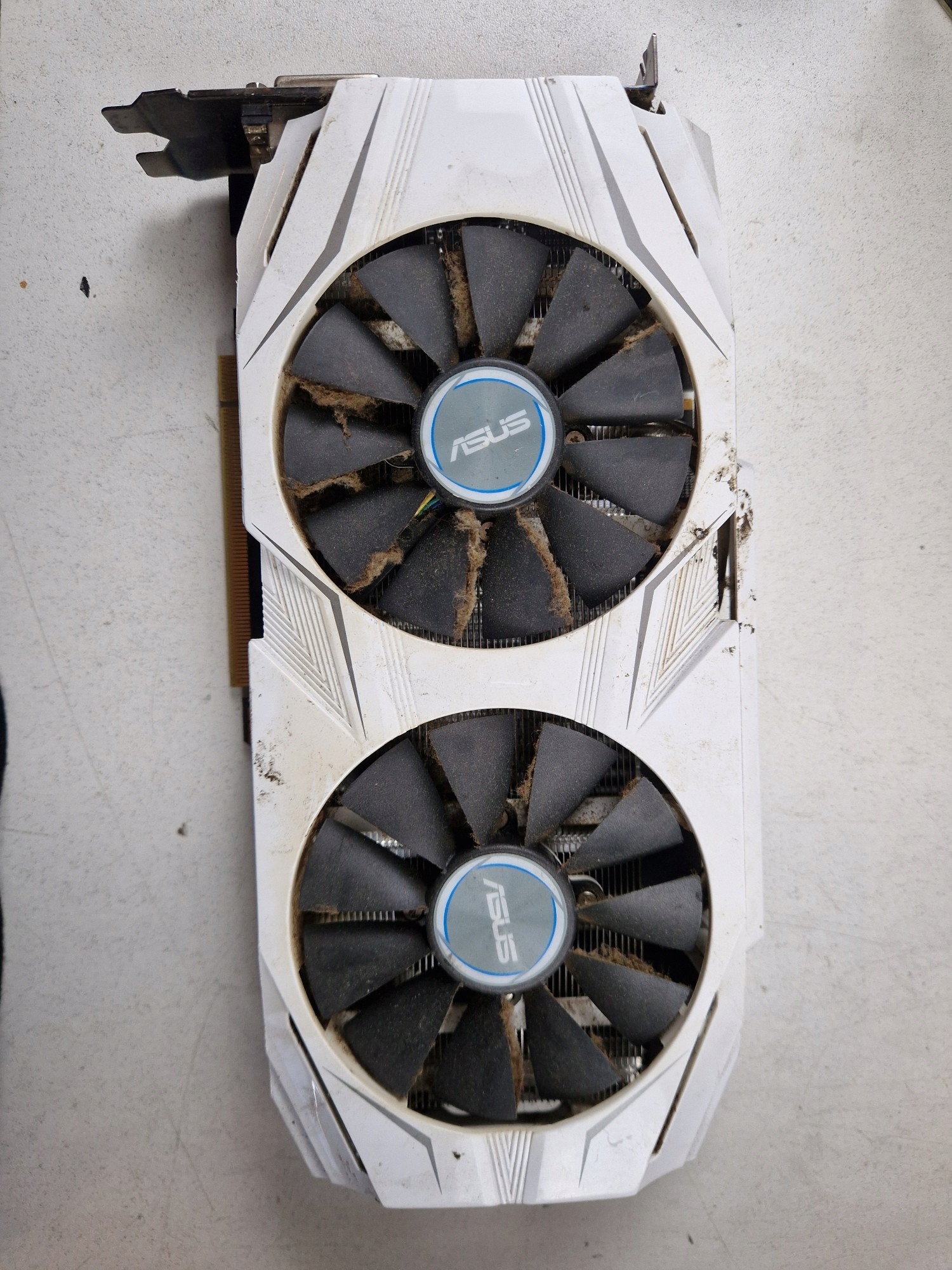 Asus Geforce Gtx 1070 w Karty graficzne - Sklepy, Opinie
