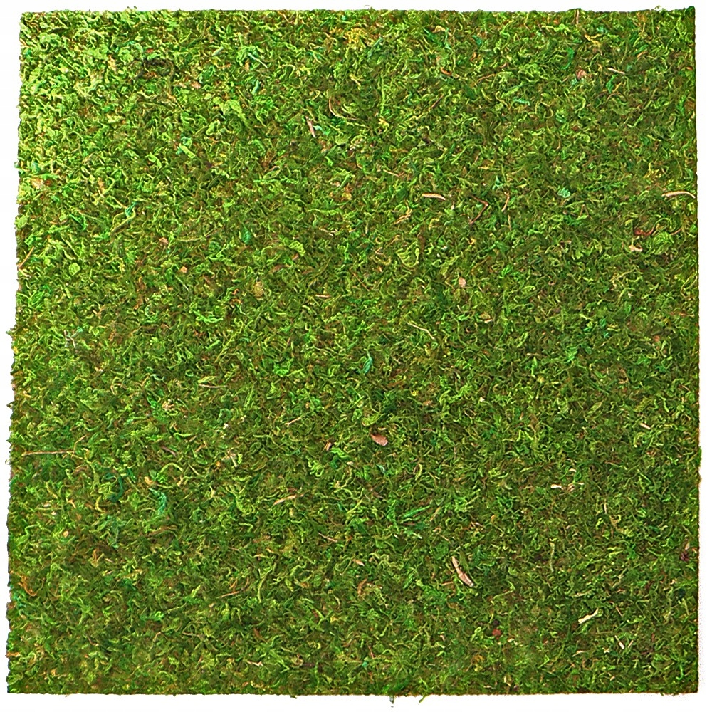 Repti-Zoo Natural Moss Back&amp;Bottom – pozadí a podklad z mechu 45x45 cm