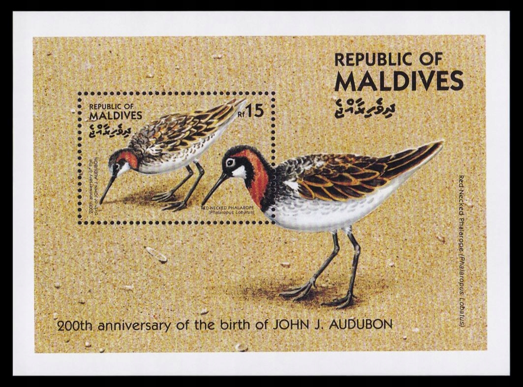 MALDIVES - PTAKI - 1985 r. - MNH(**)