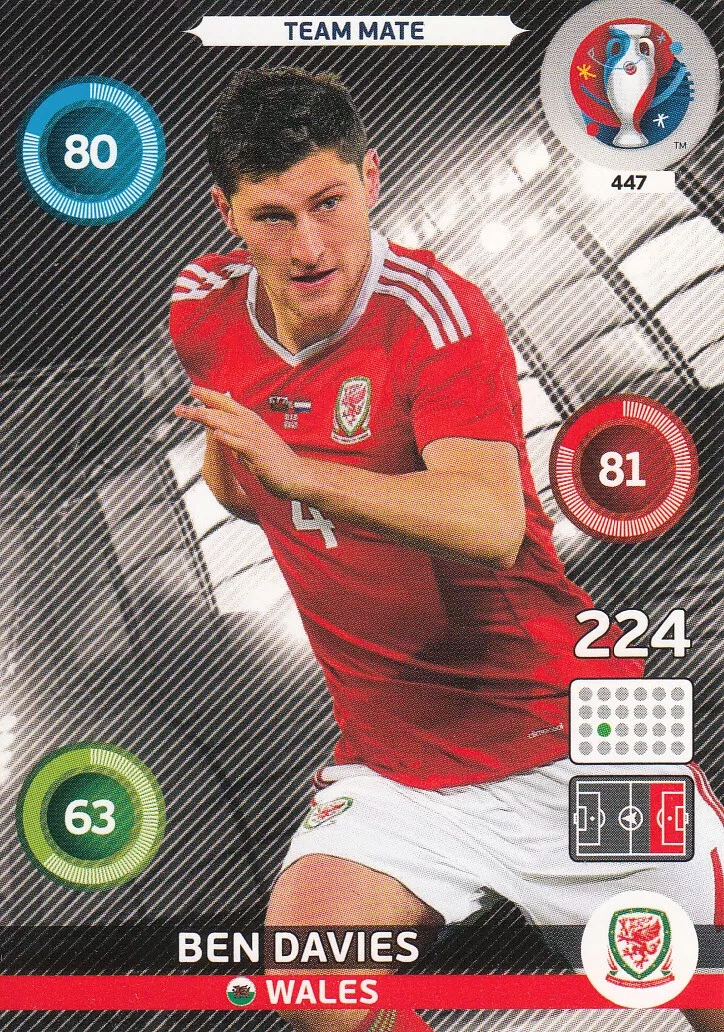 Uefa Euro 2016 Team Mate Ben Davies 447