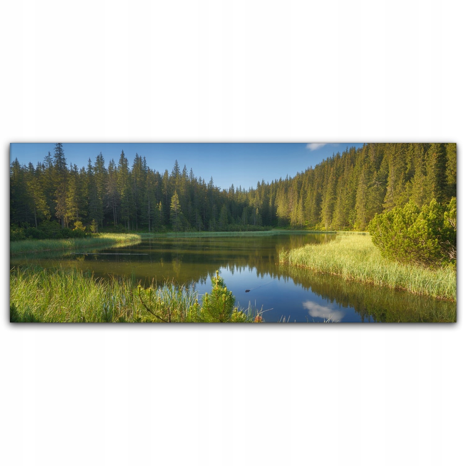 

Obraz płótno canvas 125x50 Jezioro Góry Las Drzewa