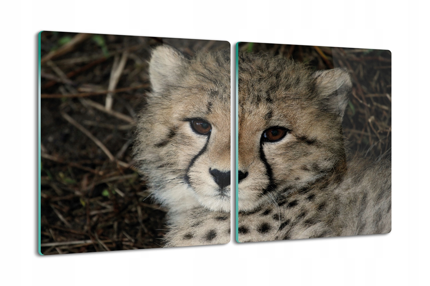 s potiskem deska 2x40x52 podložka Malý gepard