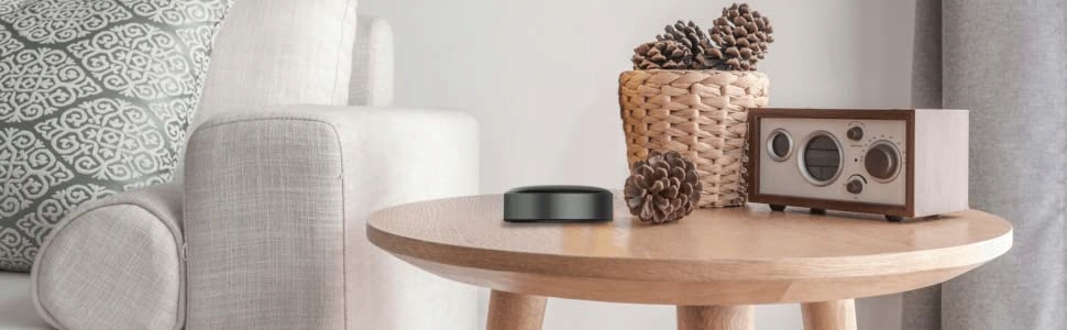 WIIM Mini Streamer Spotify Connect Tidal Connect Kod producenta ASR001