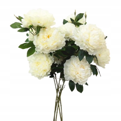 PIWONIE BIAŁE 100cm 3 GŁOWY NA ŁODYDZE 17CM Marka inna