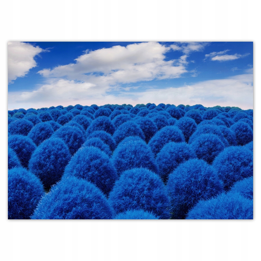 

Fototapety flizelina 254x184 Classic Blue