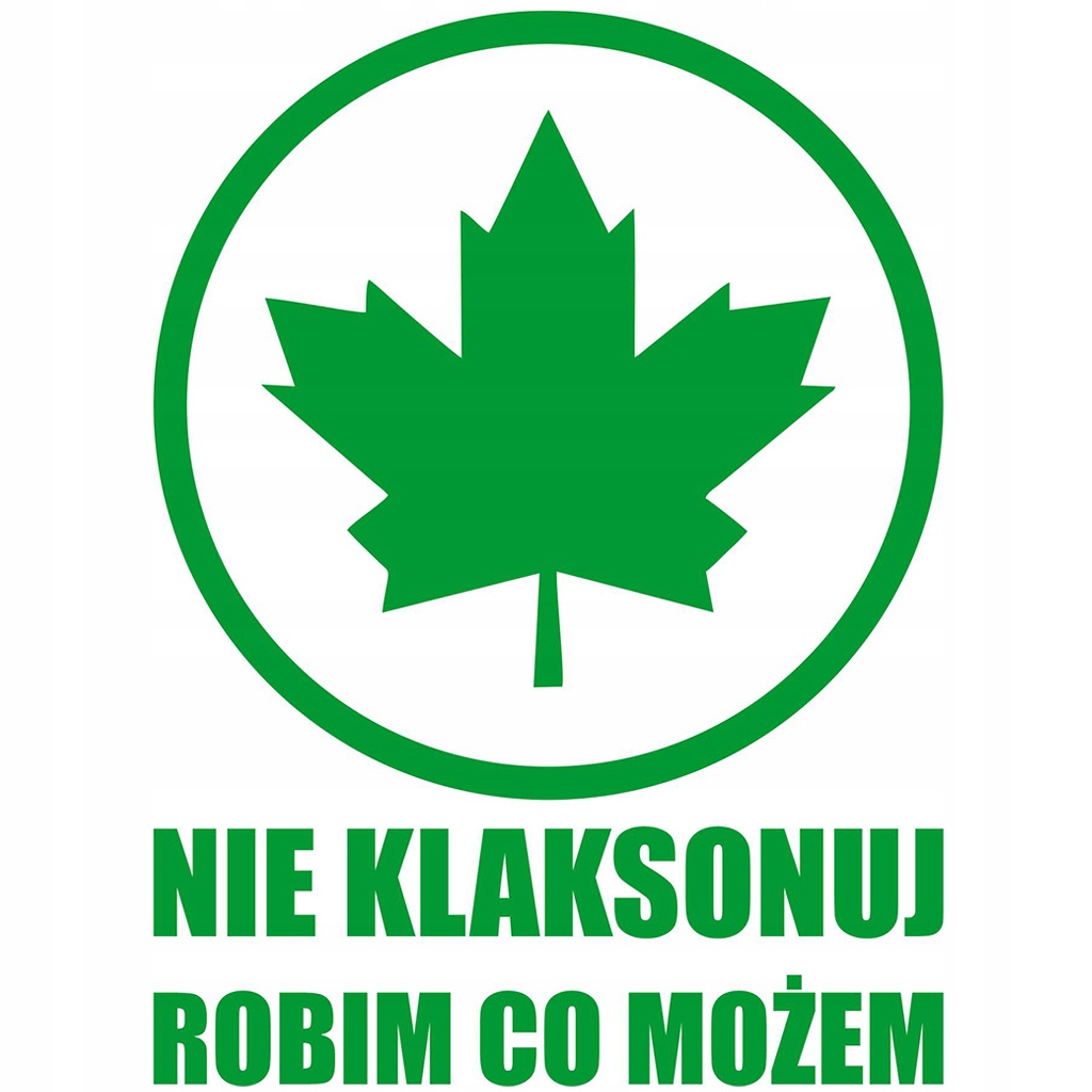 Naklejka zielony Listek Liść Klonu młody początkujący kierowca 11 x 15 cm