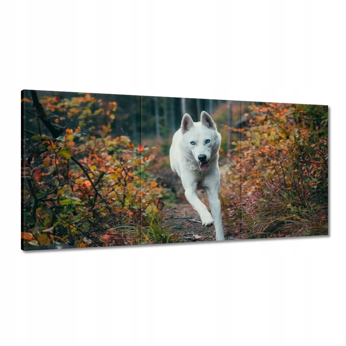 Obrazy 180x90 Pes Psík