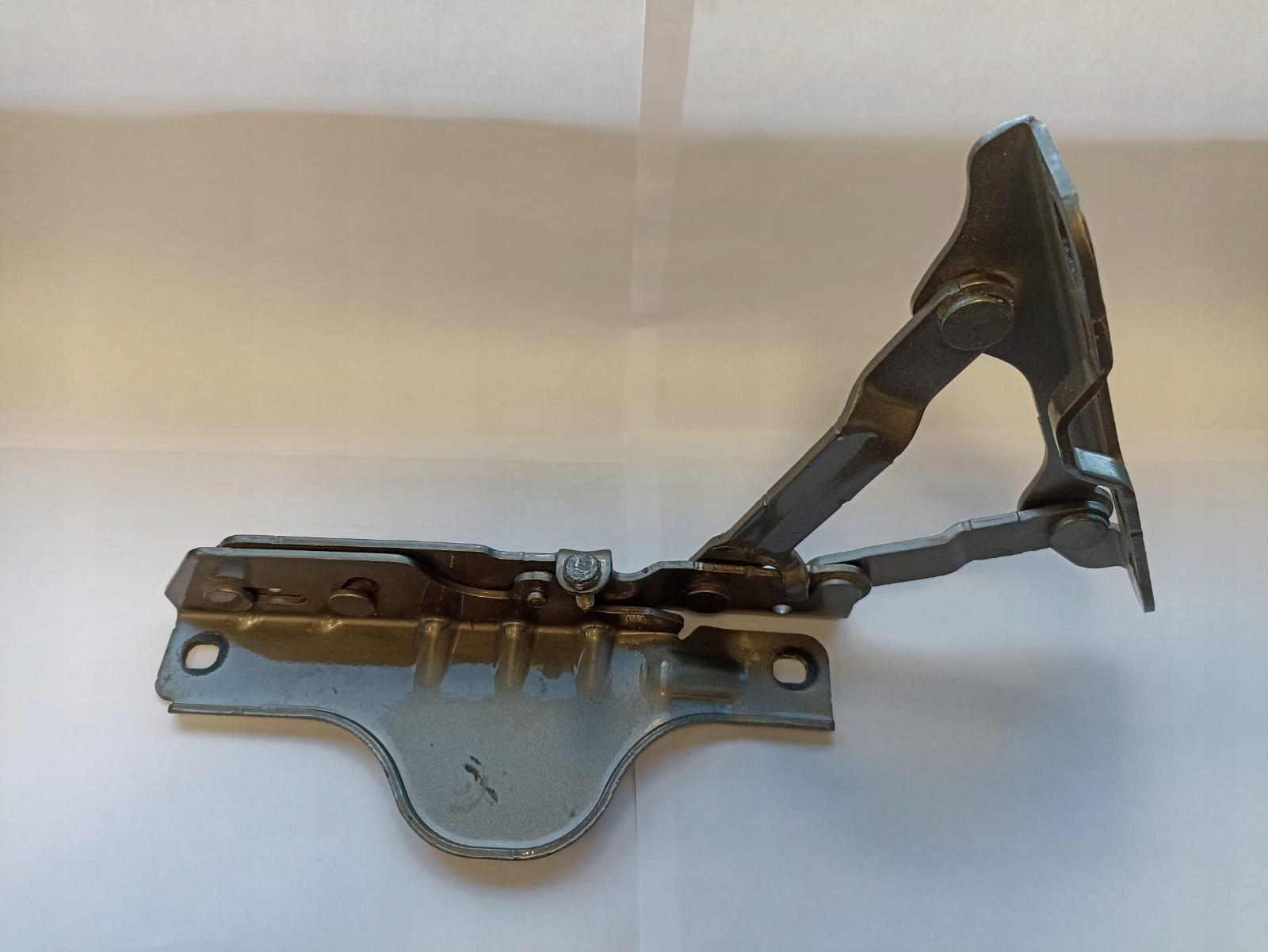TESLA MODEL S 12- hinge bonnets left 1029284-00-CA