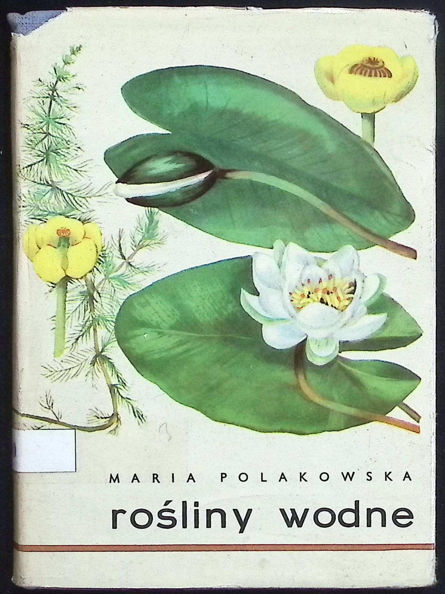Rośliny wodne Maria Polakowska
