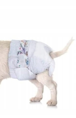 

Pieluchy Xs pampersy dla kota kotów 1-3 kg 12szt