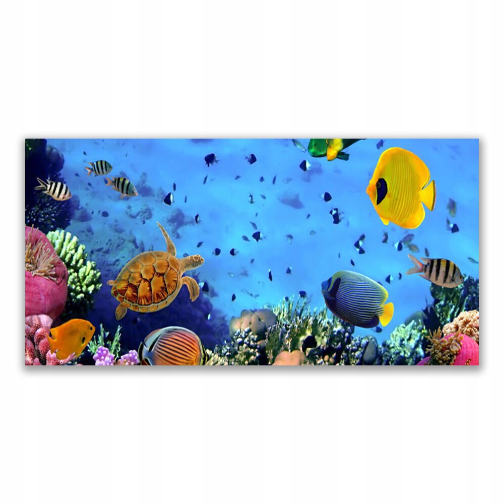 

Obraz z grafiką 120x60 Rafa Koralowa Ryba Natura