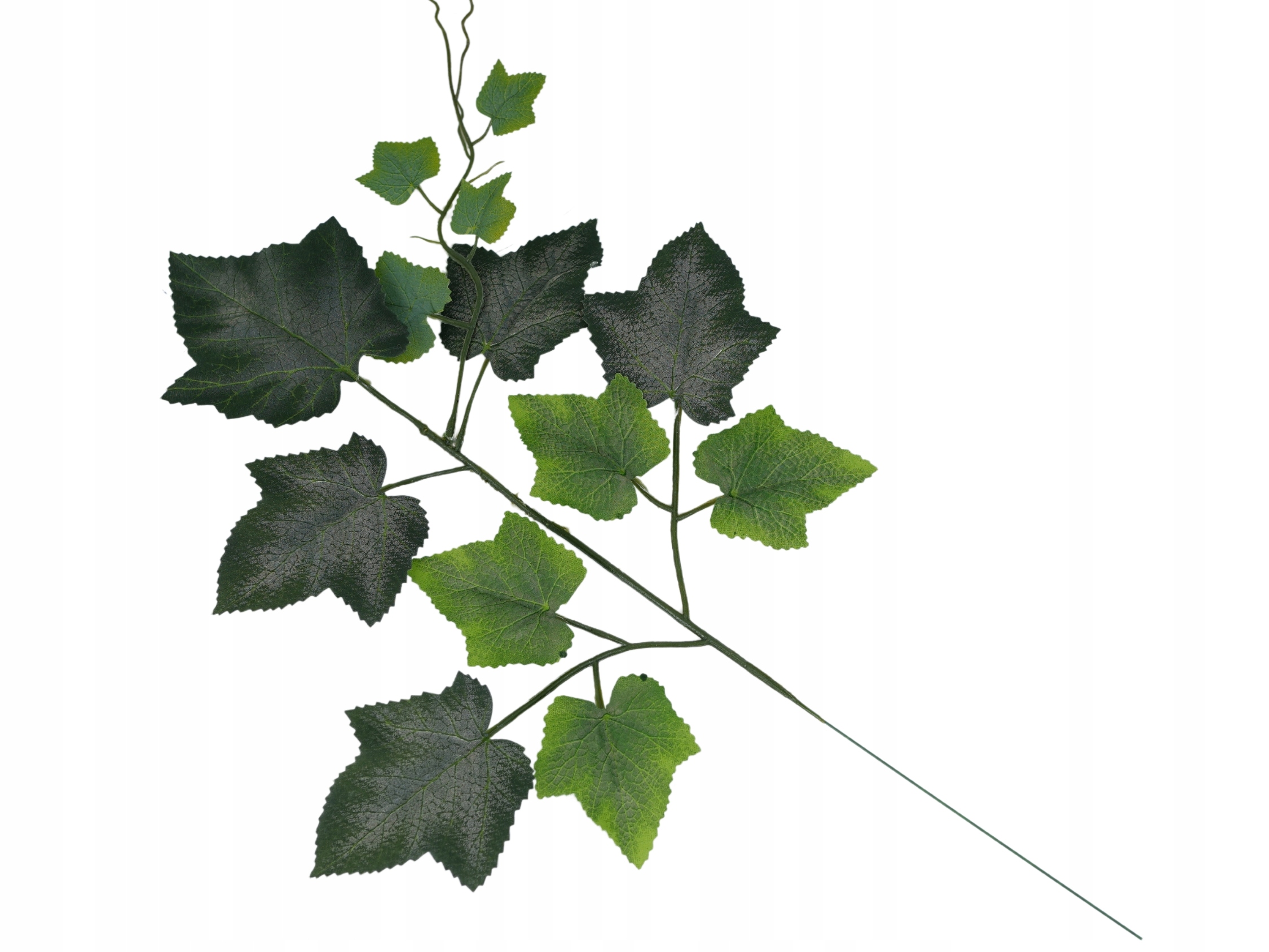 OZDOBNE LIŚCIE WINOGRON MATOWE LISTKI WINOROŚL PIĘKNE LIŚCIE NATURAL 48 cm Marka Topoblu
