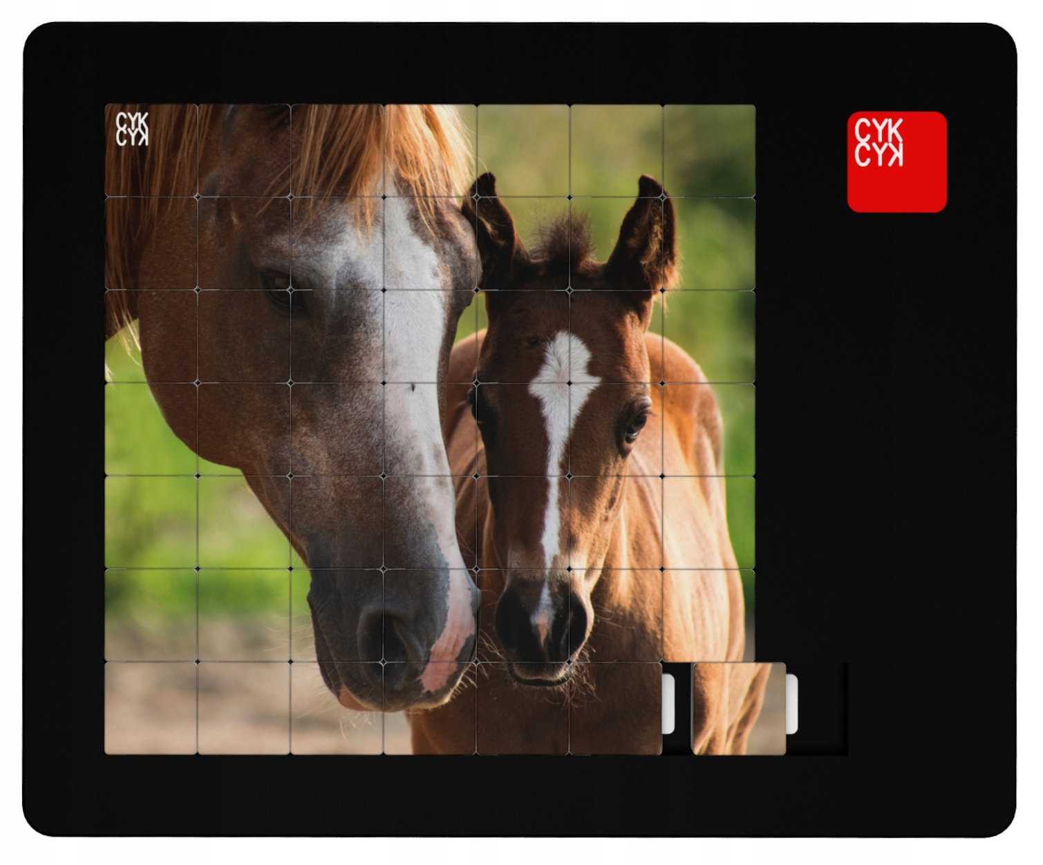

Układanka Logiczna Puzzle 49 elem Konie