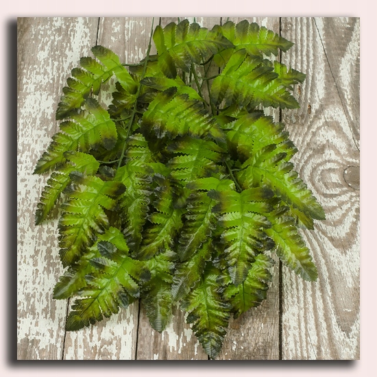 PAPROĆ Liść paproci Green LIŚCIE Marka MyFlowers
