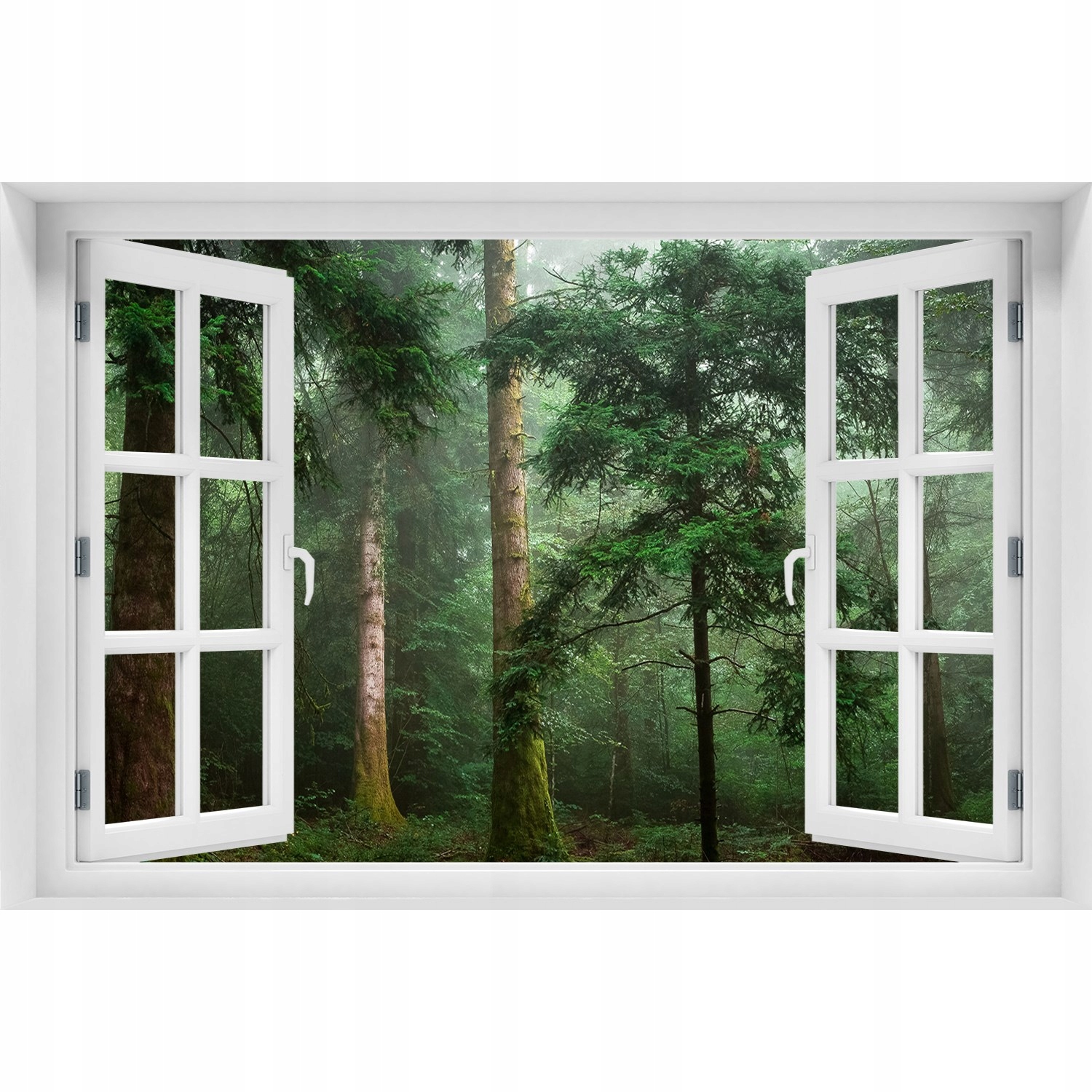 

Naklejka fototapeta 3D Okno na ścianę Mgła w lesie