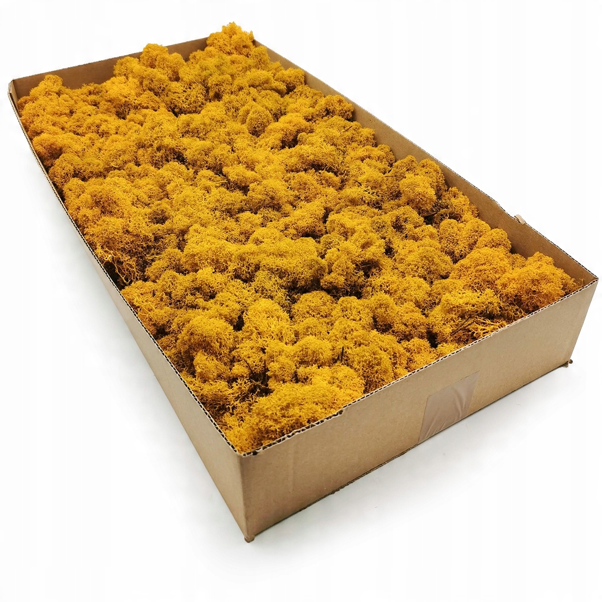 

Mech chrobotek fiński 500g