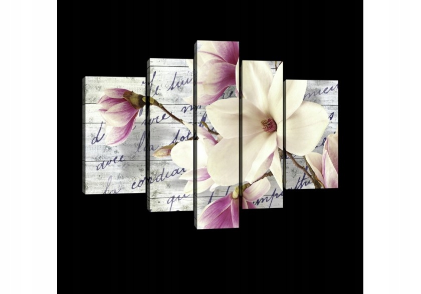 Obraz 170x100 Magnólia kvety kvitnutie jar jemnosť romantika
