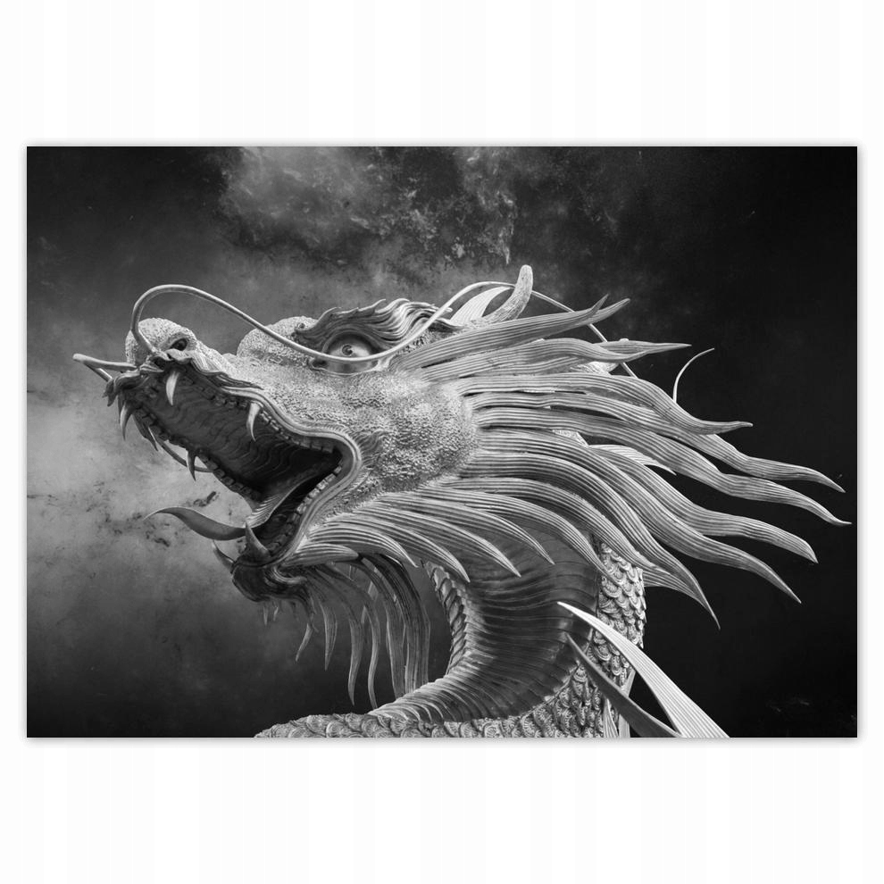 

Plakaty 70x50 Chiński smok